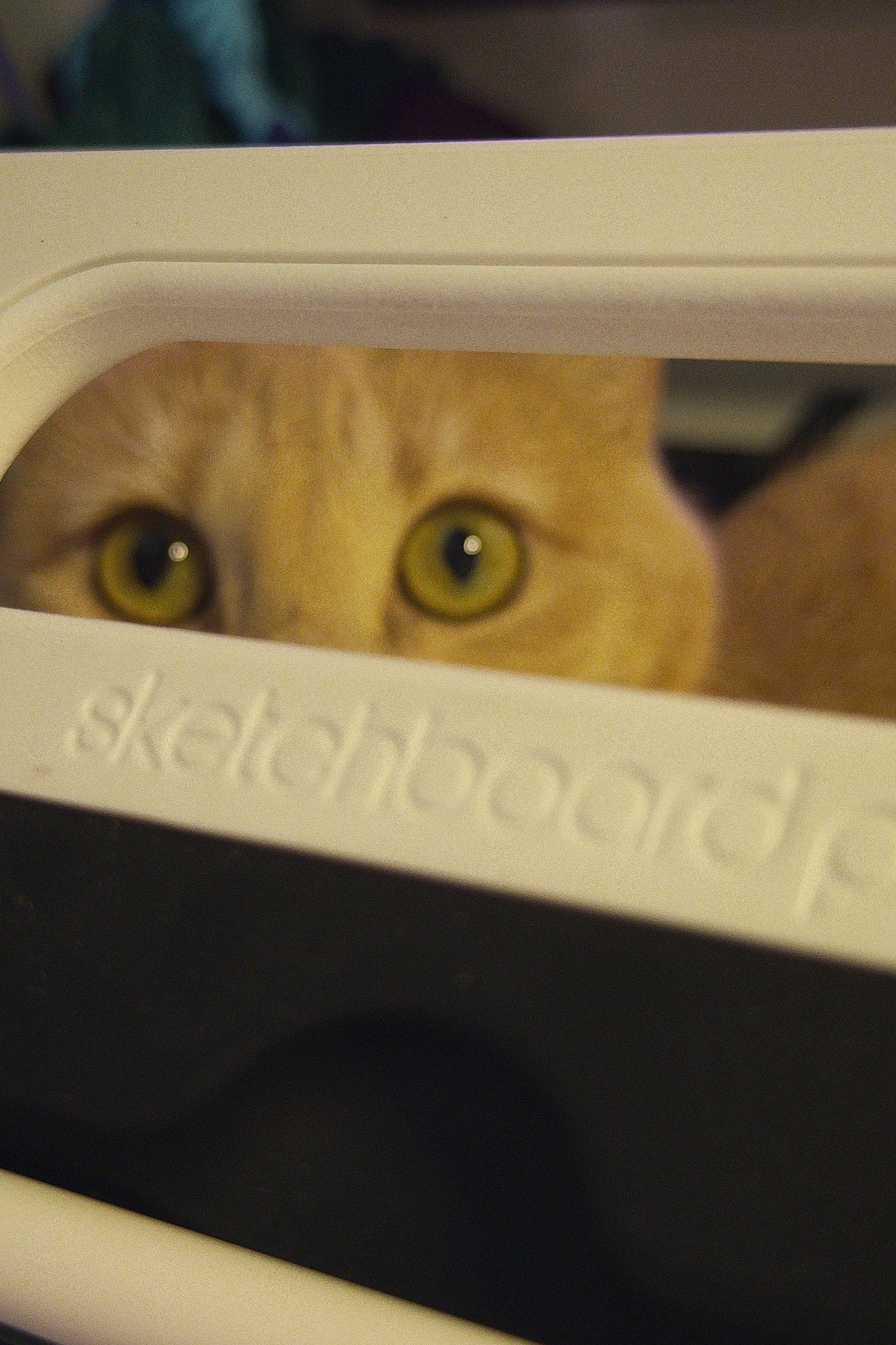 A cute orange cat named Frances Noodle with greenish yellow eyes is peeking through the handle of a white Sketchboard Pro iPad drawing stand.